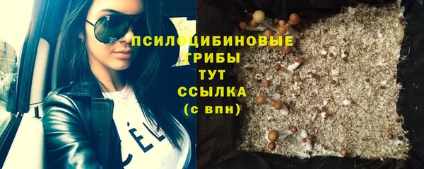стаф Алексеевка