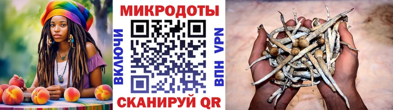 Псилоцибиновые грибы Cubensis  mega ONION  Беломорск  хочу  